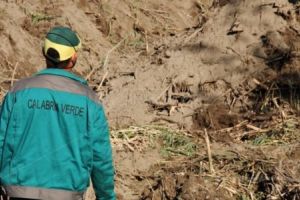 Manovra, Russo e Sapia: Risorse per la forestazione calabrese ancora insufficienti