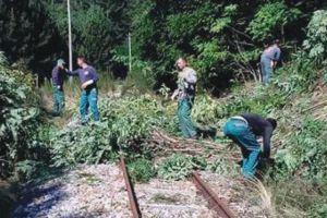 Fai, Flai, Uila Calabria proclamano lo stato di agitazione per la forestazione regionale