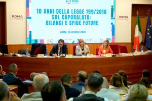 Caporalato, dieci anni fa nasceva la Legge 199. Castellucci: “Necessaria ma non sufficiente”. Il 3 novembre manifestazione a Bruxelles