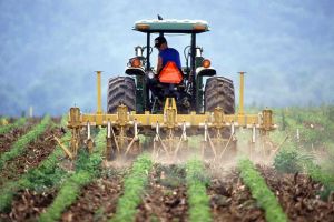 FAI CISL, FLAI CGIL e UILA UIL: il 29 luglio presentazione del nuovo CCNL Operai Agricoli e Florovivaisti