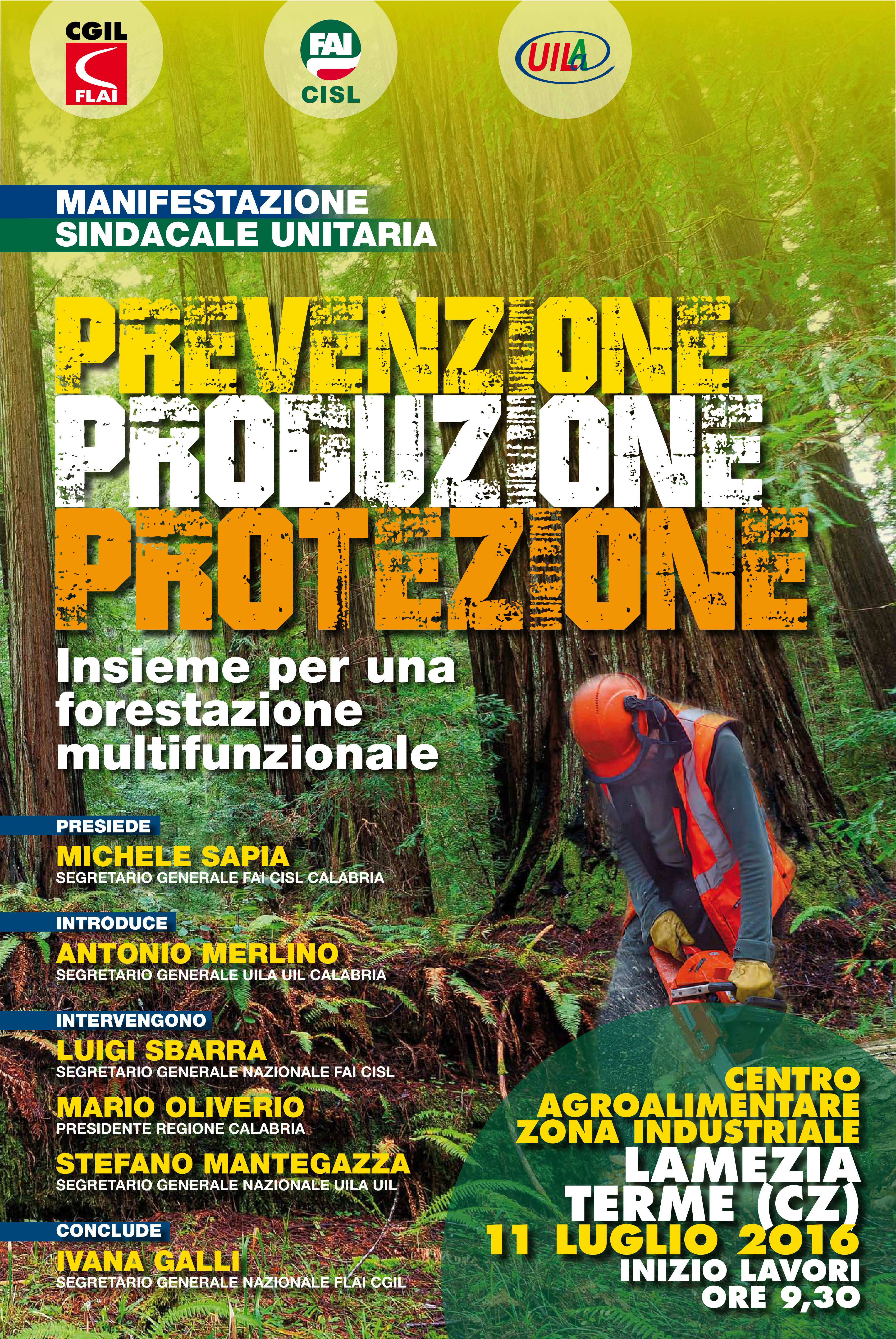 Prevenzione Produzione Protezione - Insieme per una forestazione multinazionale - 11 Luglio 2016